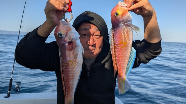 アマダイ(アカアマダイ)