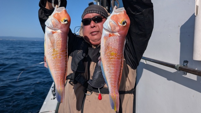 アマダイ(アカアマダイ)