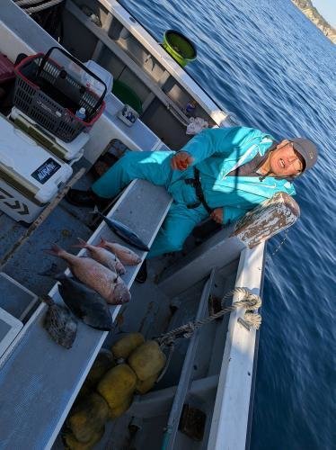 マダイ・メジナ・ハマチ(ブリ)・カワハギ