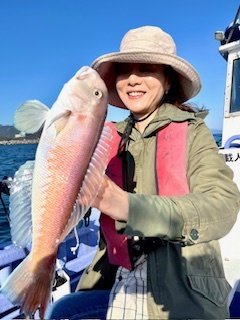 アマダイ(アカアマダイ)