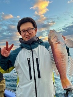 アマダイ(アカアマダイ)