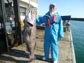 アブラボーズ(アブラボウズ)