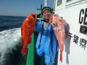 ベニアコウ(オオサガ)