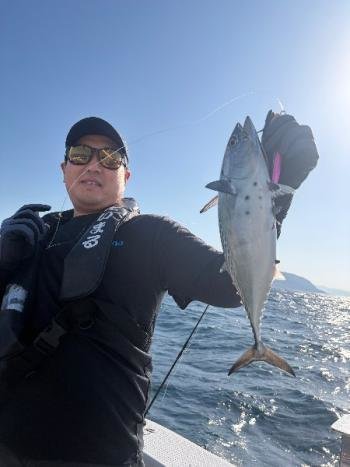 カツオ・スマカツオ(スマ)