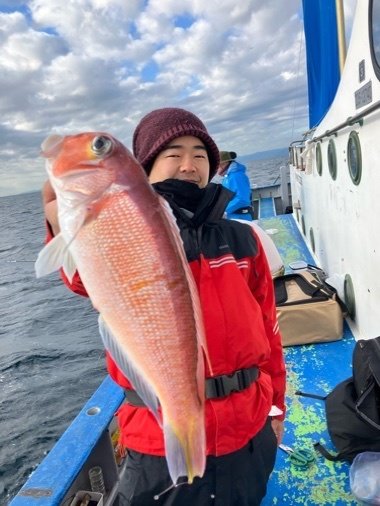 アマダイ(アカアマダイ)