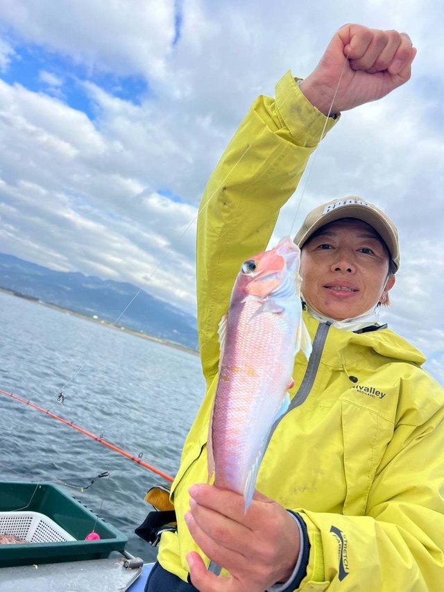 アマダイ(アカアマダイ)