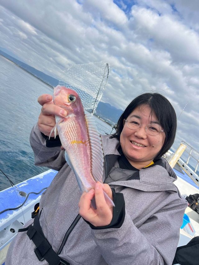 アマダイ(アカアマダイ)