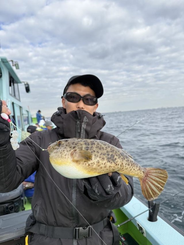 フグ(アカメフグ)