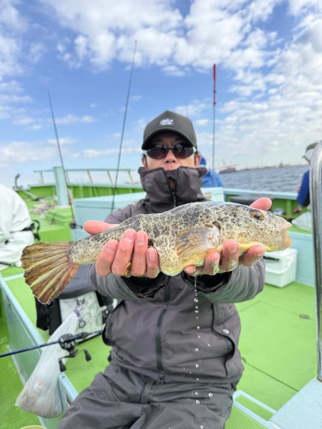 フグ(アカメフグ)