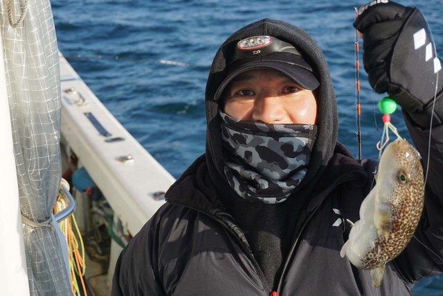 ショウサイフグ