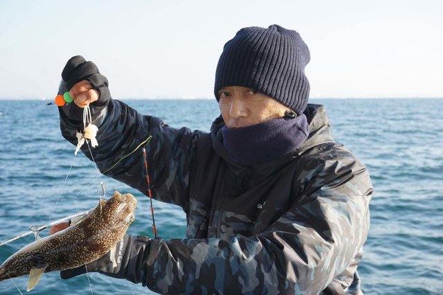 ショウサイフグ