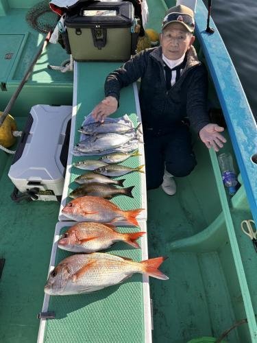 マダイ・アジ(マアジ)・イサキ・ヒラソーダ(ヒラソウダ)