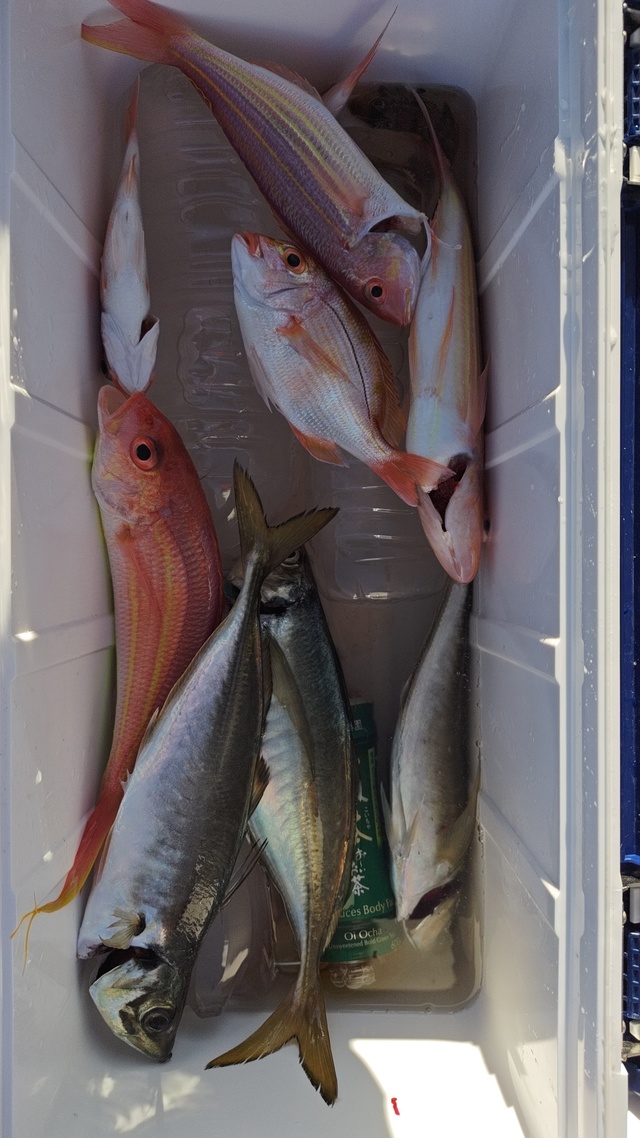 アジ(マアジ)・イトヨリ(イトヨリダイ)