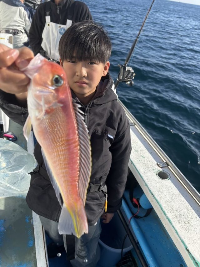 アマダイ(アカアマダイ)