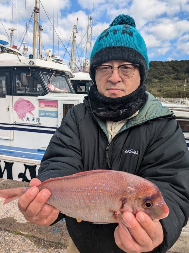 ハナダイ(チダイ)