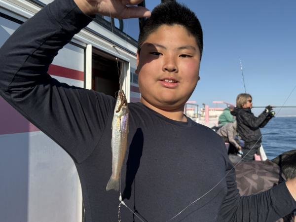 キス(シロギス)