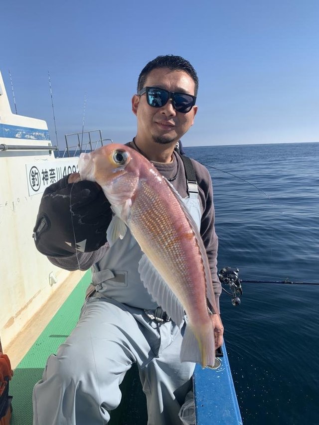 アマダイ(アカアマダイ)