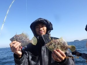 カワハギ