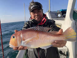 アマダイ(アカアマダイ)