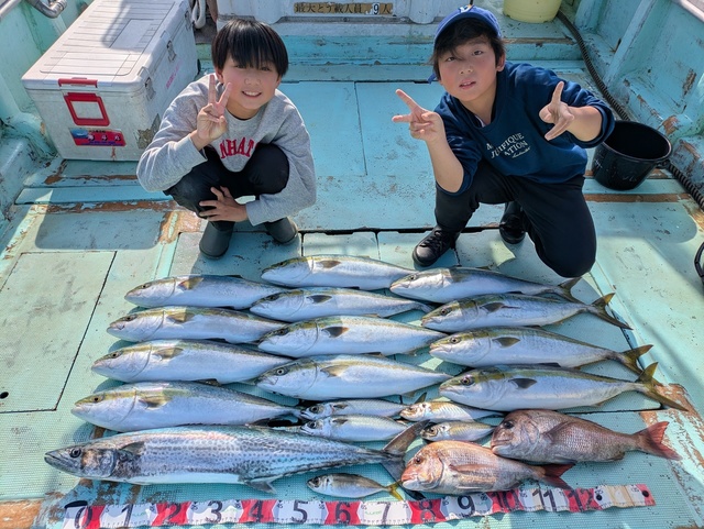 タイ(マダイ)・アジ(マアジ)・メジロ(ブリ)・マサバ・サワラ