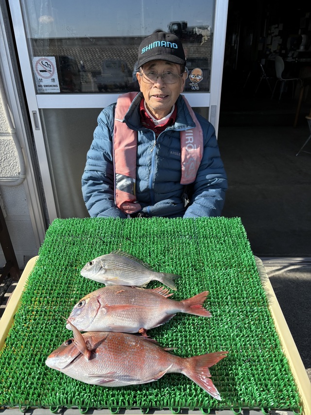 ハナダイ(チダイ)