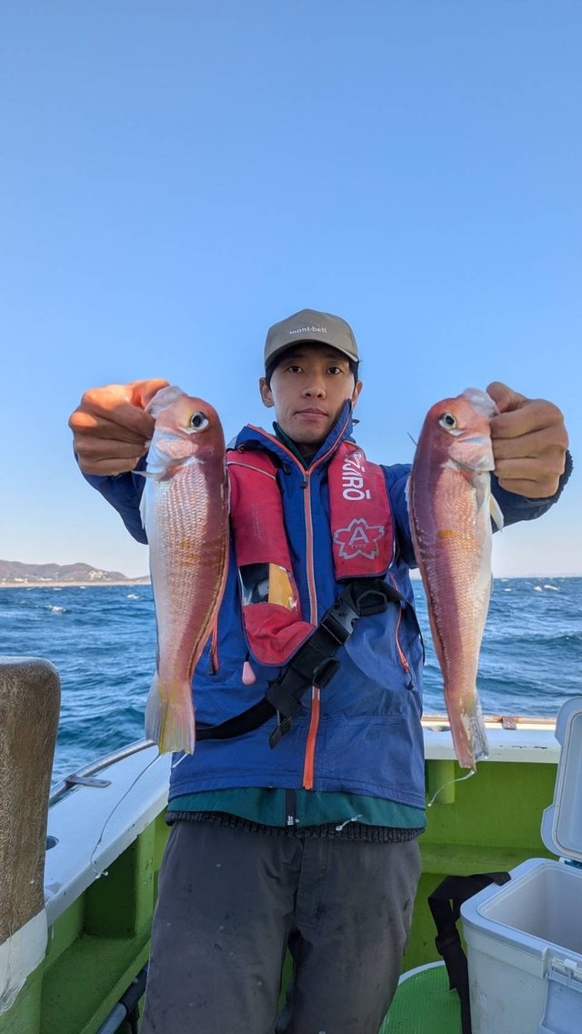 アマダイ(アカアマダイ)