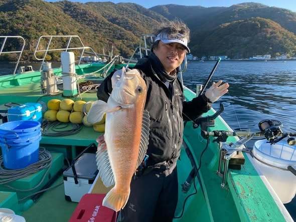 アマダイ(アカアマダイ)