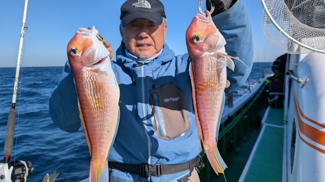 アマダイ(アカアマダイ)