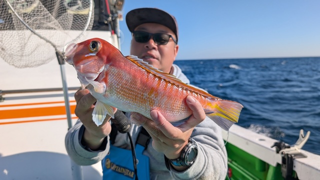 アマダイ(アカアマダイ)