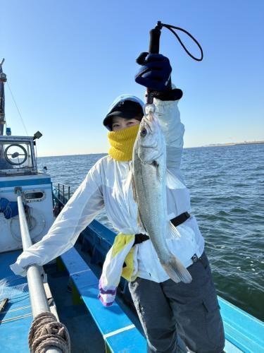 シーバス(スズキ)