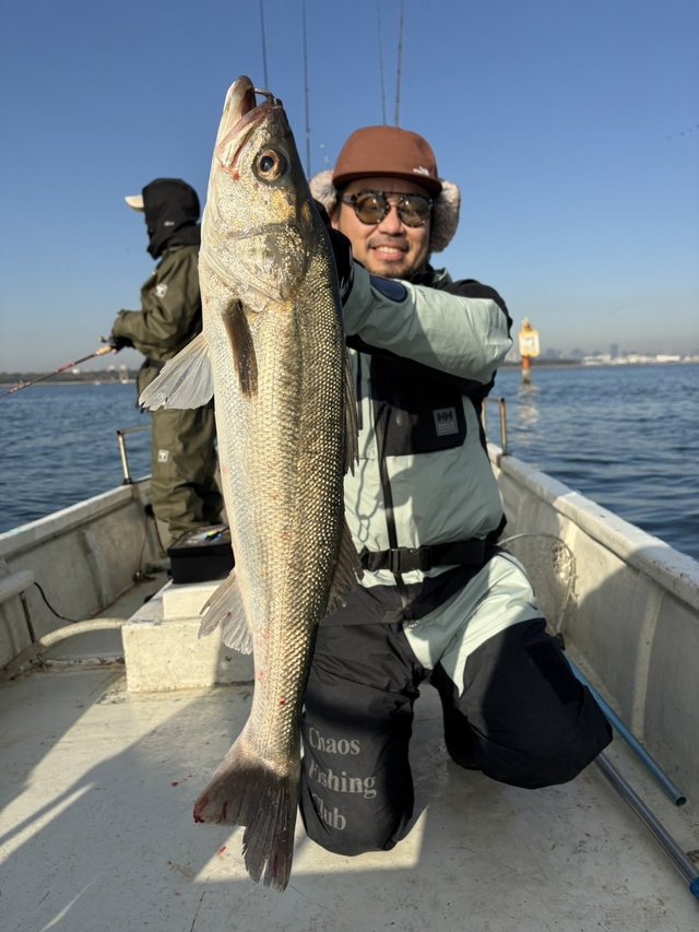 シーバス(スズキ)