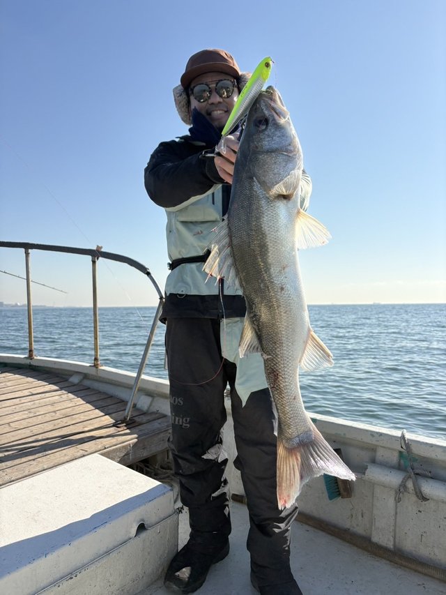 シーバス(スズキ)