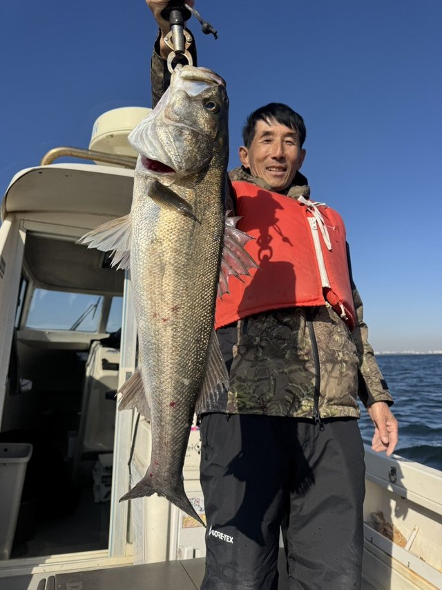 シーバス(スズキ)