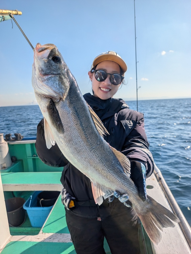 シーバス(スズキ)