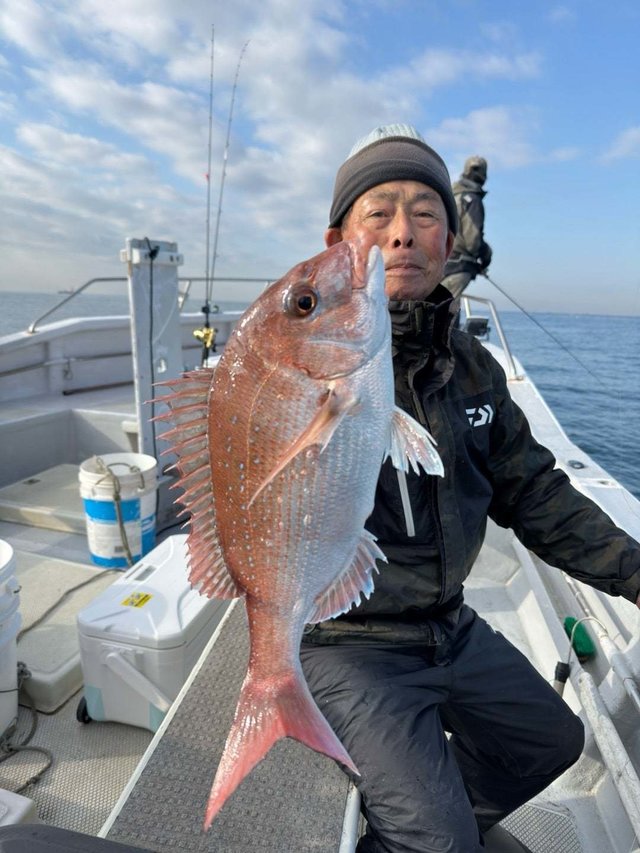 マダイ