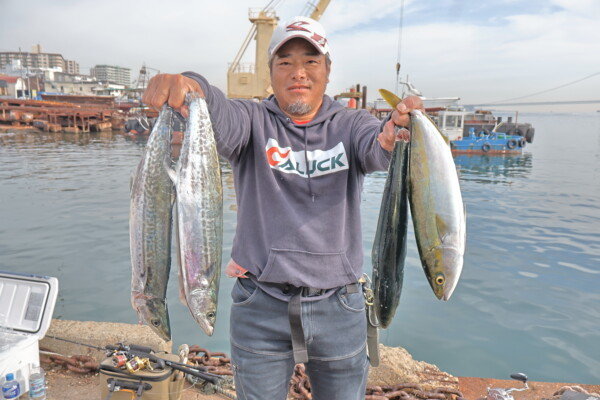 ハマチ(ブリ)・メジロ(ブリ)・サゴシ(サワラ)