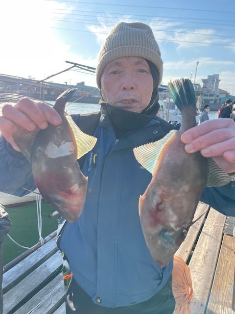 ウマヅラ(ウマヅラハギ)