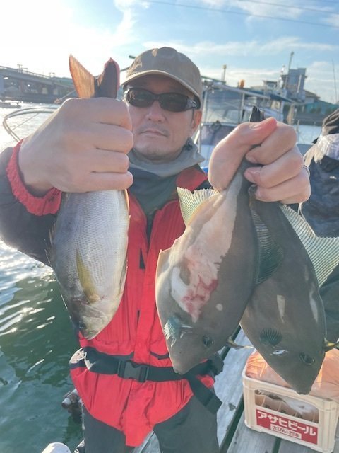 イサキ・ウマヅラ(ウマヅラハギ)