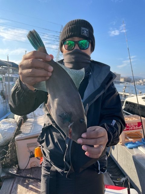 ウマヅラ(ウマヅラハギ)