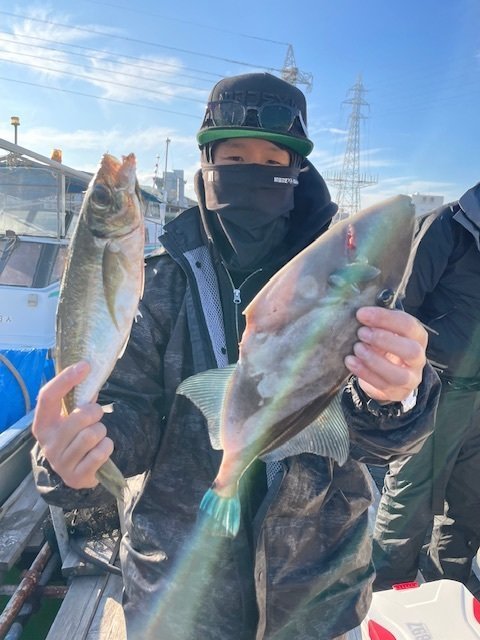 アジ(マアジ)・ウマヅラ(ウマヅラハギ)