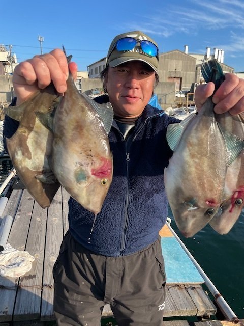 ウマヅラ(ウマヅラハギ)