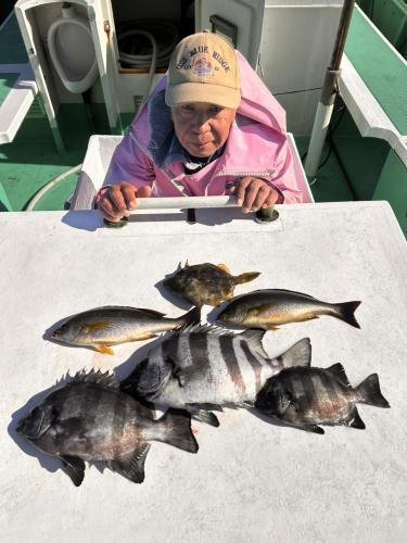 イシダイ・イサキ・カワハギ