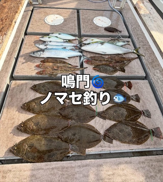 ブリ・サゴシ(サワラ)・マゴチ・ヒラメ・ウマヅラハギ・イカ(アオリイカ)