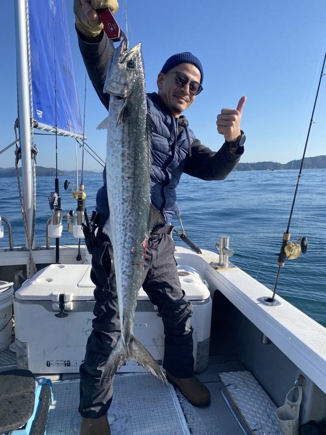 サゴシ(サワラ)