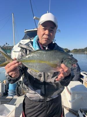 シマアジ