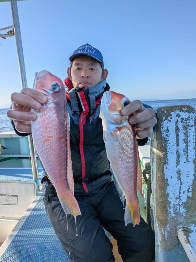 アマダイ(アカアマダイ)