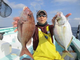 マダイ・カイワリ