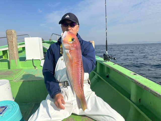 アマダイ(アカアマダイ)