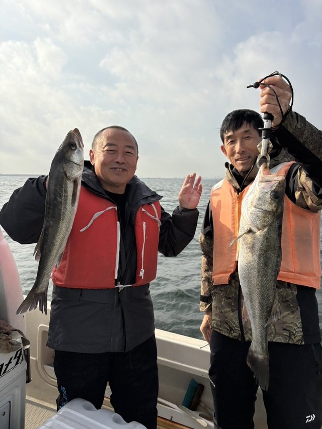 シーバス(スズキ)