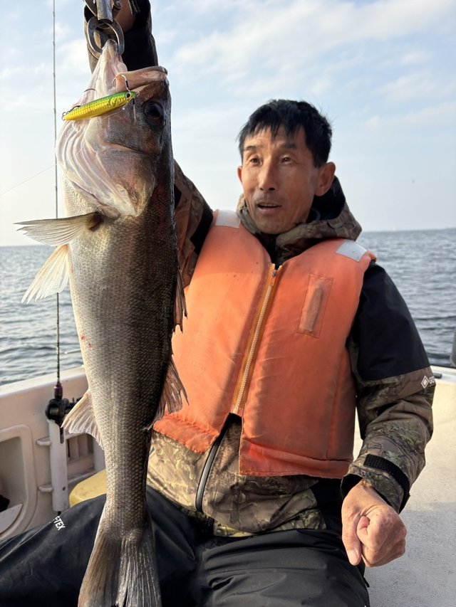 シーバス(スズキ)